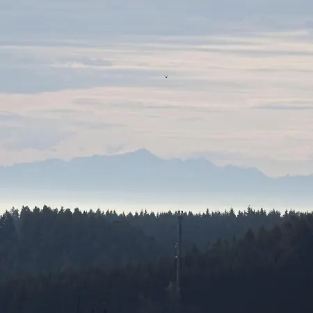 Ritzmann * Grafenhausen