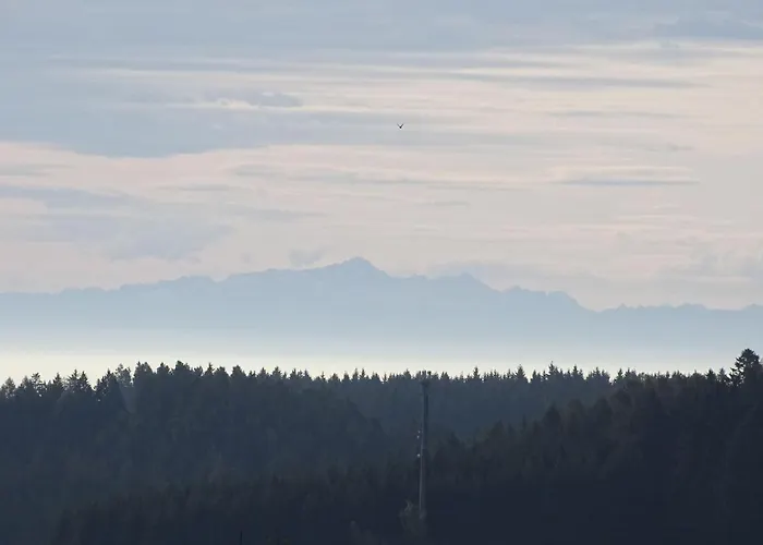 Ritzmann * Grafenhausen